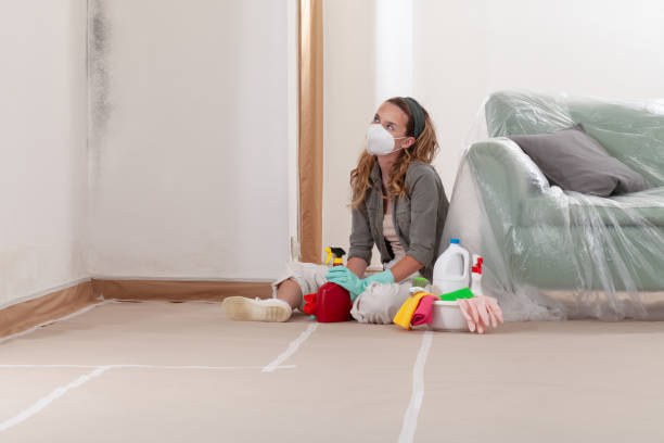Reliable Crawl Space Mold Remediation contractor in Troutdale, OR by 24 Hour Mold Removal