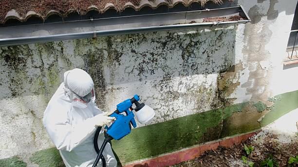 Top rated local Crawl Space Mold Remediation specialists in Troutdale, OR